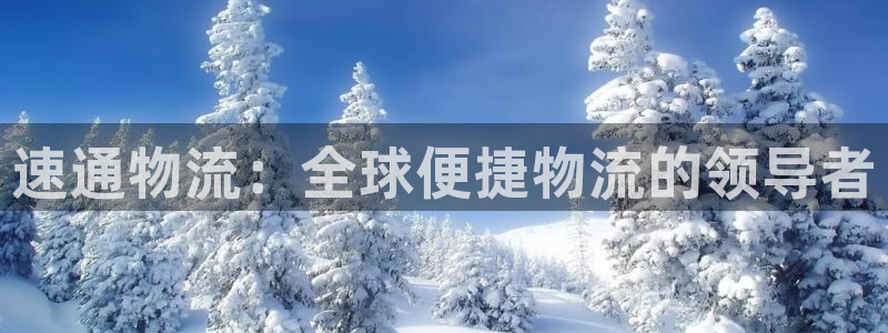 多多28怎么下载:速通物流:全球便捷