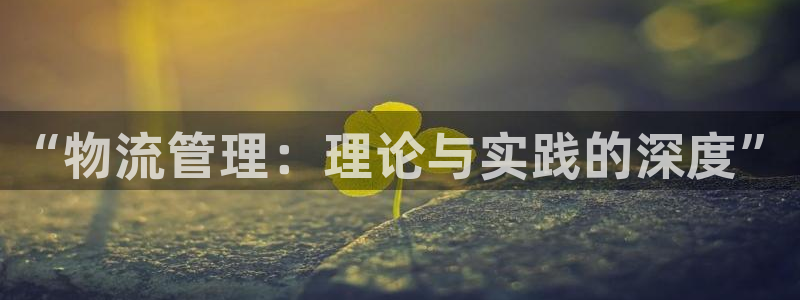 多多28注册登录链接：“物流管理：理