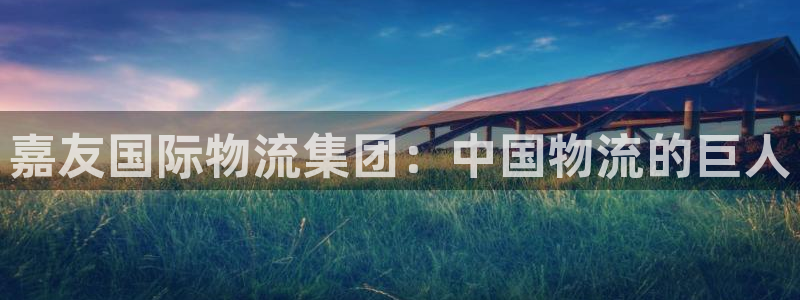 多多28初始资金密码在哪里改：嘉友国