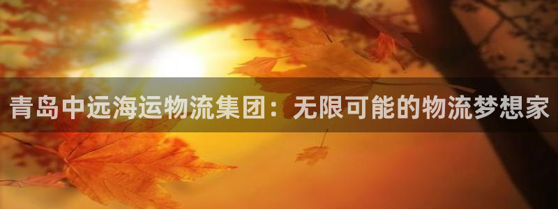 多多28连接：青岛中远海运物流集团：