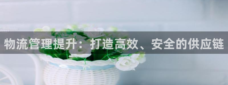 多多28系统自动保护：物流管理提升：
