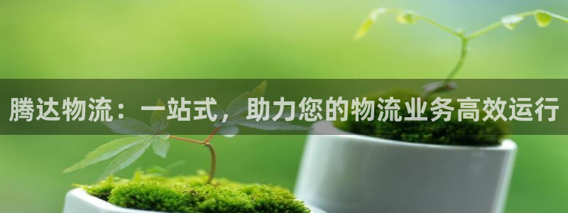 多多28是干嘛的：腾达物流：一站式，