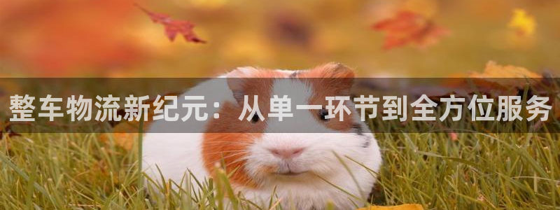 多多28网站平台是多少:整车物流新纪