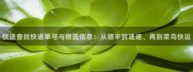 多多28是正规软件吗：快速查找快递单