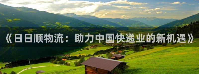 多多28pc预测：《日日顺物流：助力
