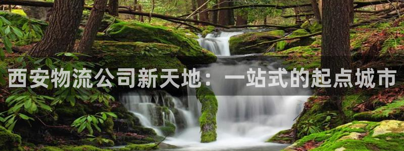多多28的自行车：西安物流公司新天地