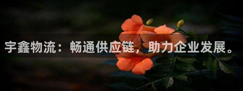 多多28怎么注册游戏名字：宇鑫物流：