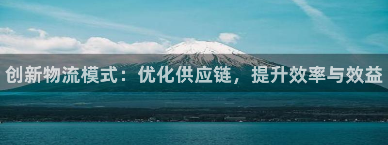 多多28模拟器：创新物流模式：优化供