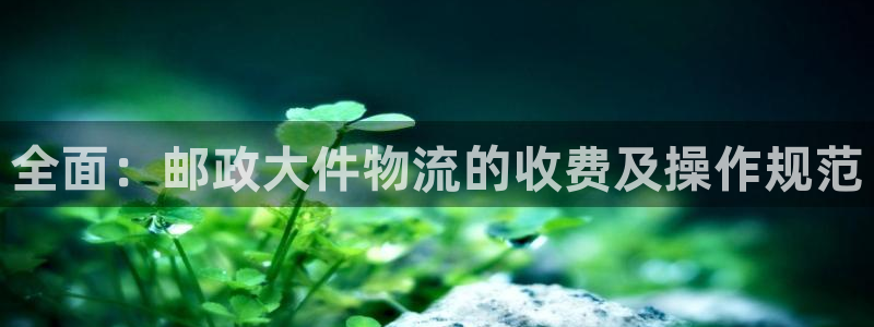 多多28登录不上咋回事：全面：邮政大