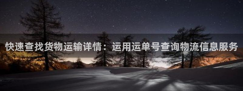 多多28链接多少：快速查找货物运输详