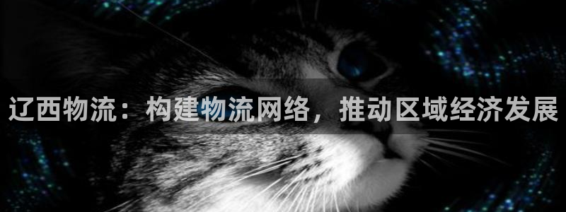 多多28充值不到账怎么回事