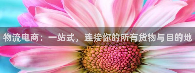 多多28aPP退款：物流电商：一站式