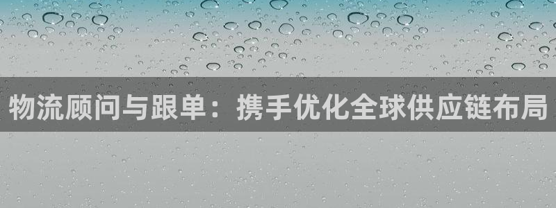 多多28注册：物流顾问与跟单：携手优