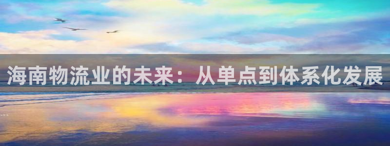 多多28吧：海南物流业的未来：从单点
