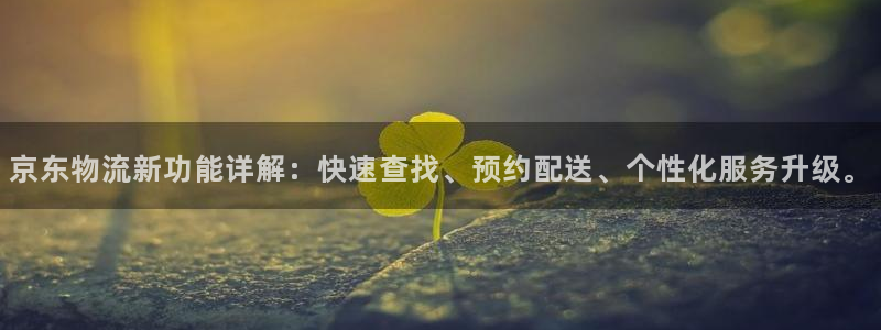 多多28模拟：京东物流新功能详解：快