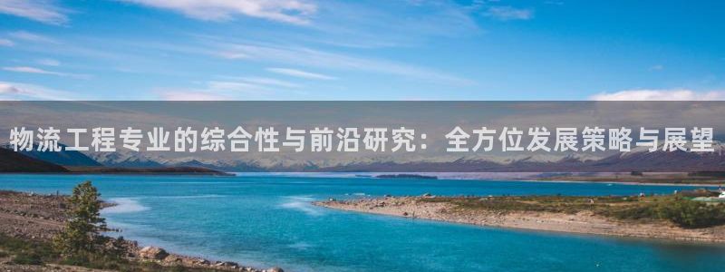 多多28犯法吗：物流工程专业的综合性与前沿研究：全方位发展策