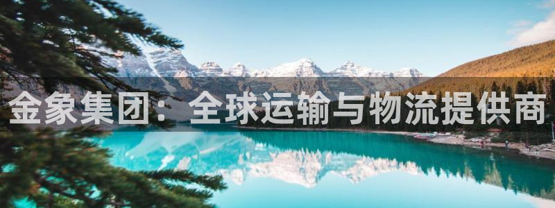 多多28加拿大app预测