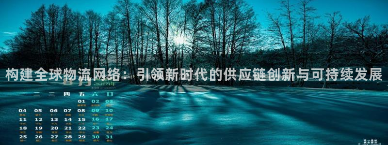 多多28注册登录：构建全球物流网络：