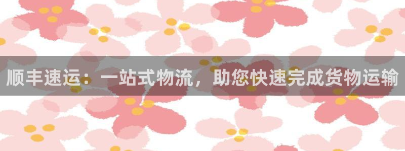多多28平台注册：顺丰速运：一站式物流，助您快速完成货物运输