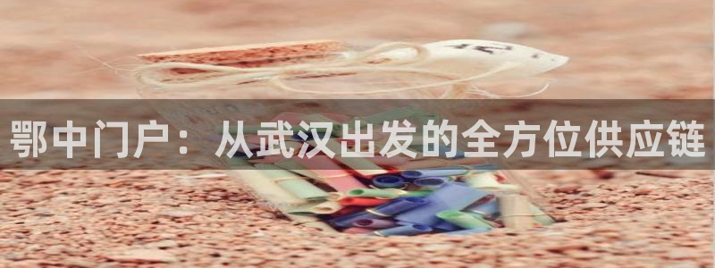 多多28怎么注册账号和密码：鄂中门户：从武汉出发的全方位供应