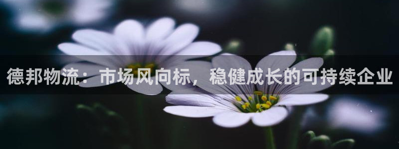 多多28官网平台:德邦物流:市场风向