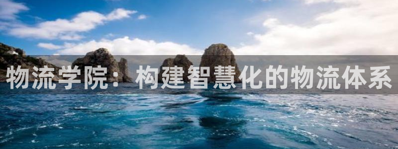 多多28官网开奖结果预测查询:物流学