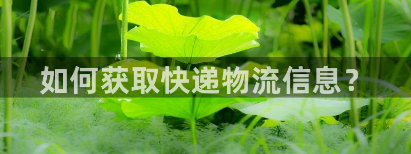 多多28链接多少