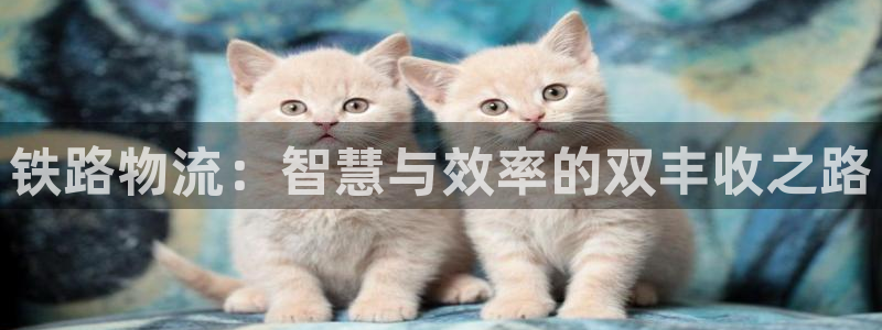 多多28登录流程：铁路物流：智慧与效率的双丰收之路