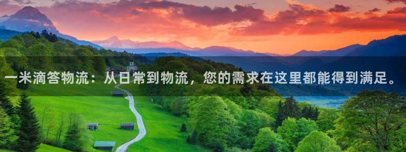 多多28加拿大怎么玩:一米滴答物流: