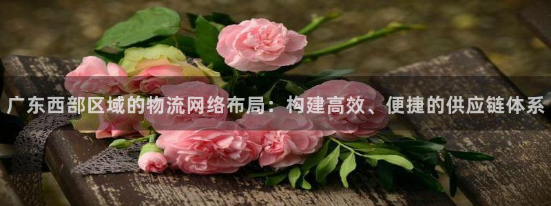 多多28如何看012路计划：广东西部区域的物流网络布局：构建