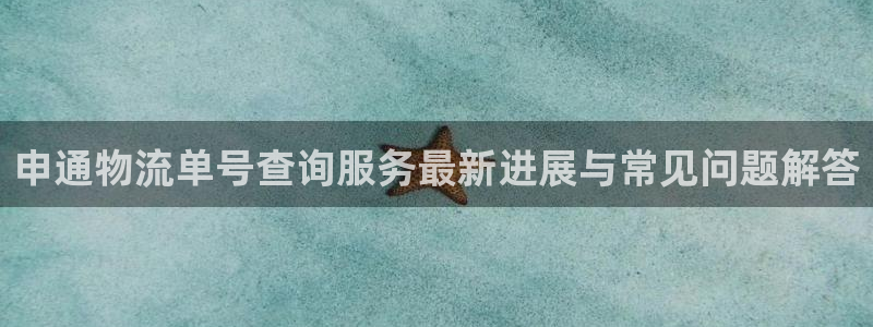 多多28官网版2024：申通物流单号查询服务最新进展与常见问