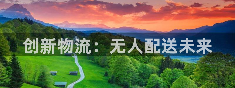 多多28注册网页：创新物流：无人配送未来