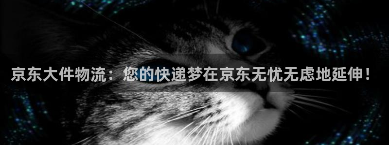 多多28PG电子游戏