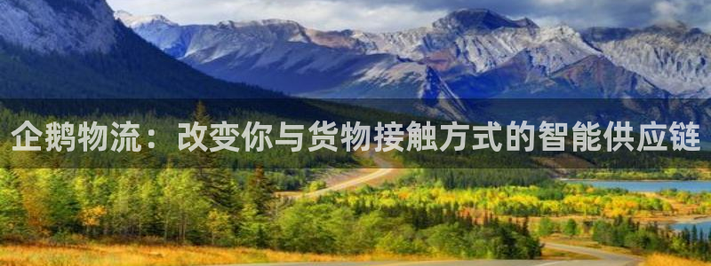 多多28官网入口正版