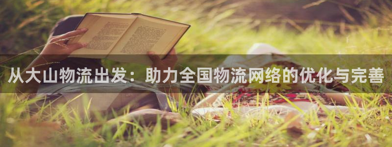 多多28官网入口2024