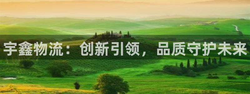 多多28新用户怎么注册:宇鑫物流:创